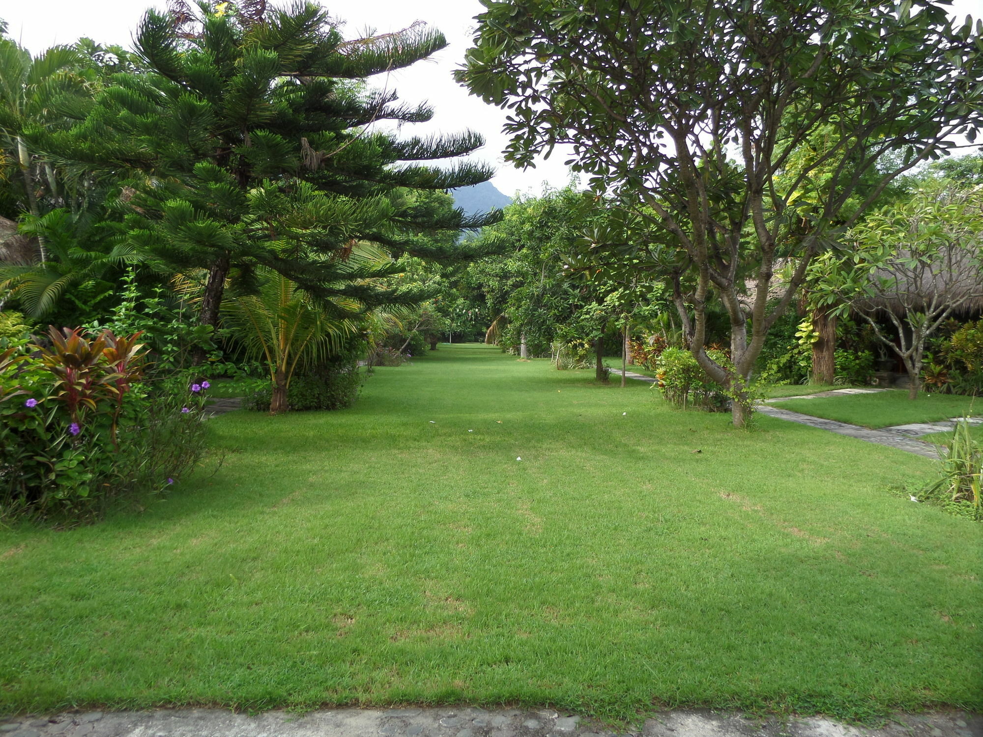 Taman Selini Wahana Beach Resort Pemuteran  Exterior photo