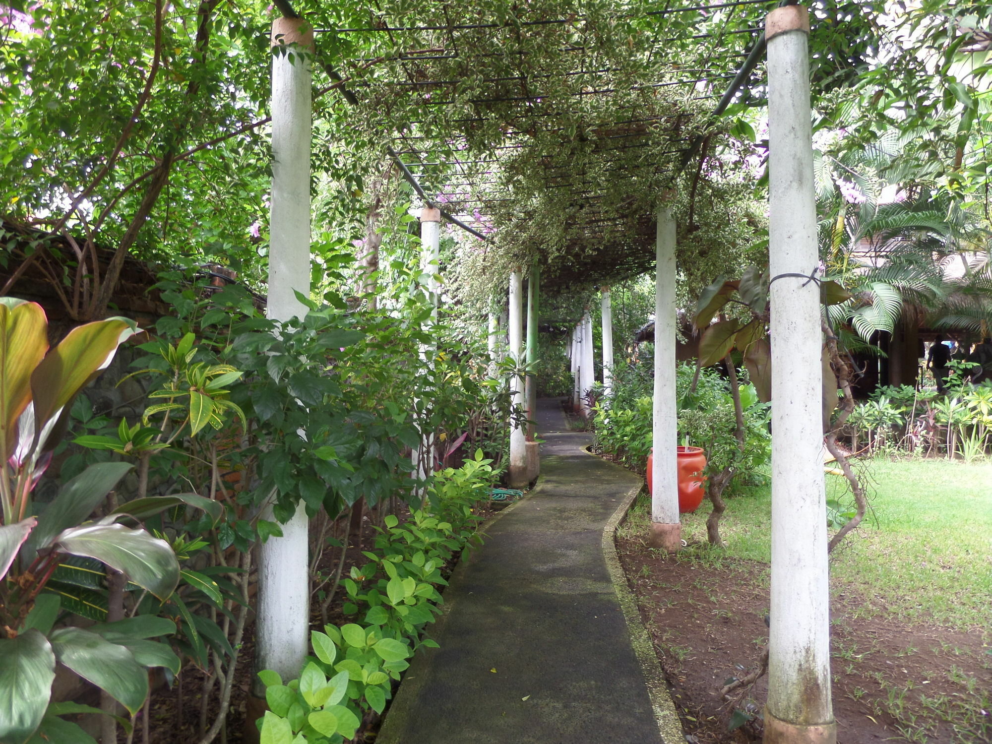 Taman Selini Wahana Beach Resort Pemuteran  Exterior photo